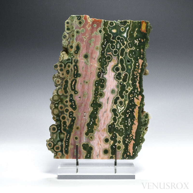 Ocean Jasper | Venusrox