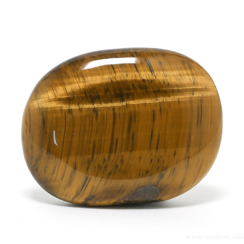 Tigers Eye | Venusrox