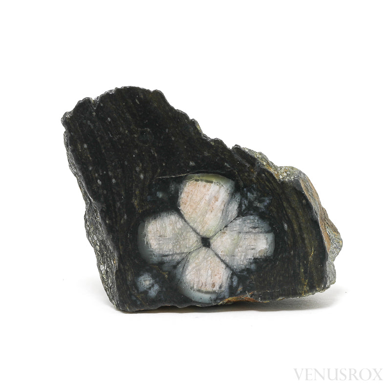 Chiastolite | Venusrox