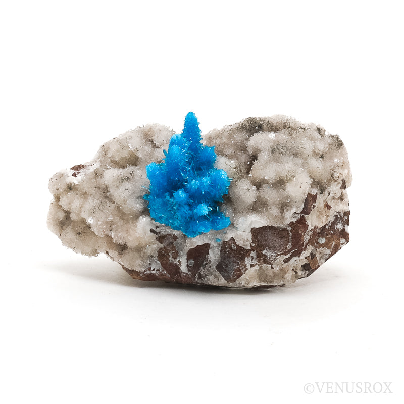 Pentagonite on Matrix Natural Cluster from the Pune District, Maharashtra, India | Venusrox