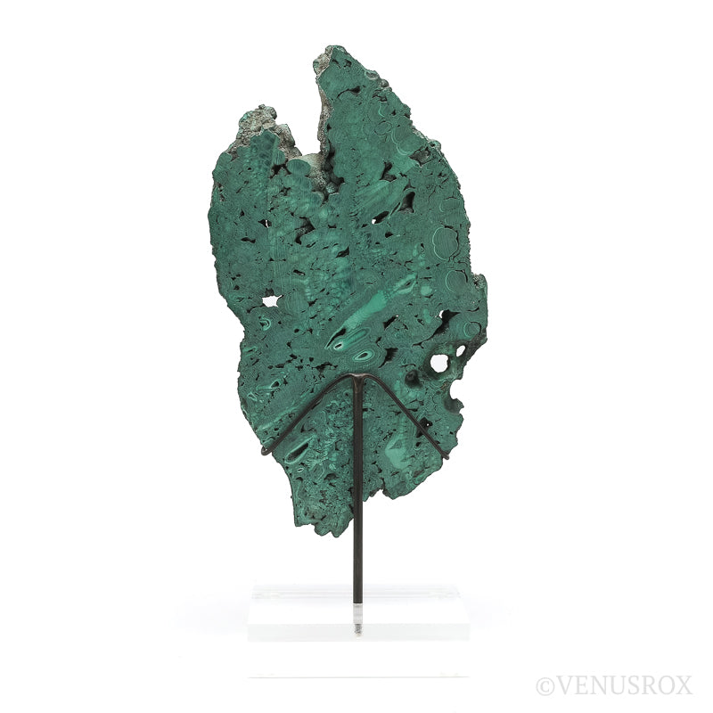 Malachite Slice from the Democratic Republic of the Congo | Venusrox