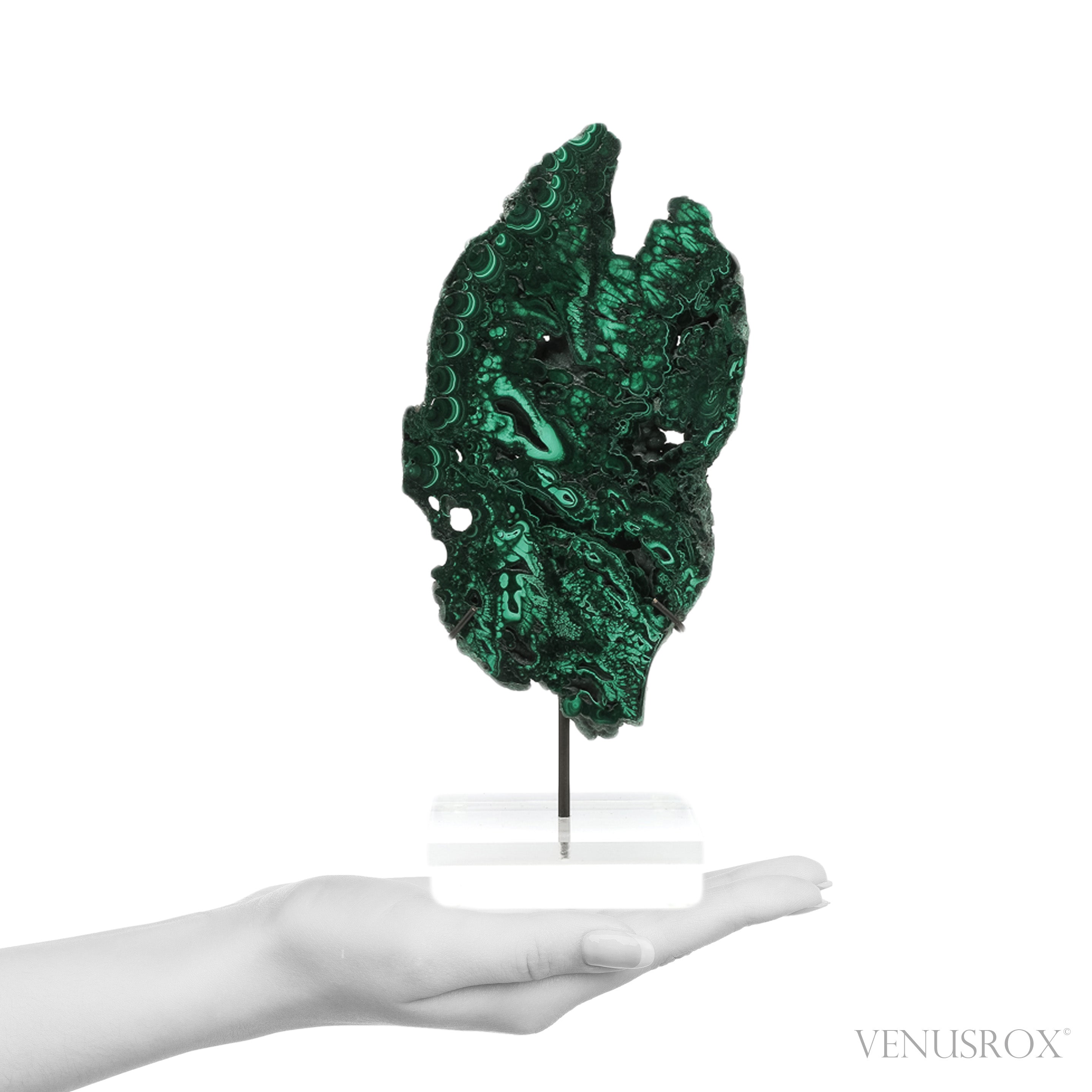 Malachite Slice from the Democratic Republic of the Congo | Venusrox