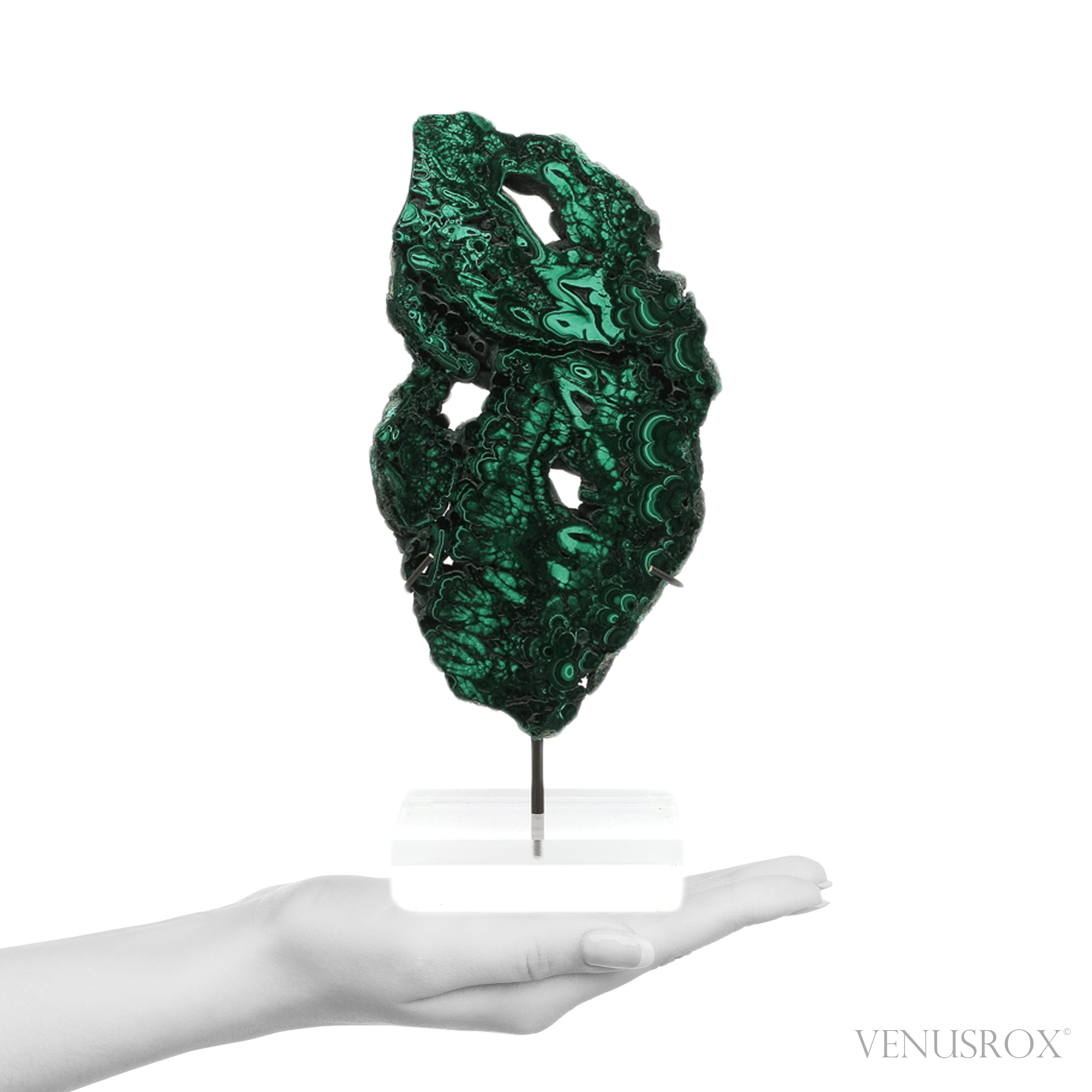 Malachite Slice from the Democratic Republic of the Congo | Venusrox
