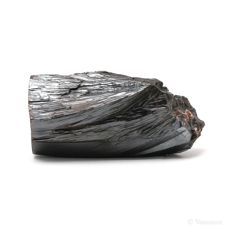 Hematite 'Pencil Ore' Natural Crystal from Mefis, Taouz, Er Rachidia Province, Draa-Tafilalet Region, Morocco | Venusrox