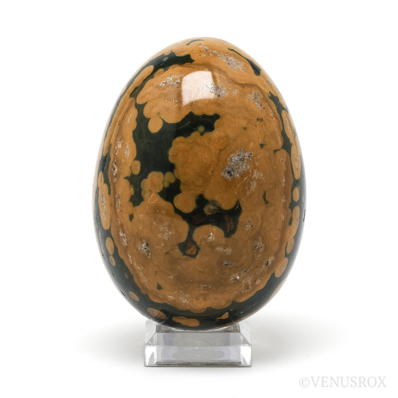 Ocean Jasper Polished Egg from Madagascar | Venusrox
