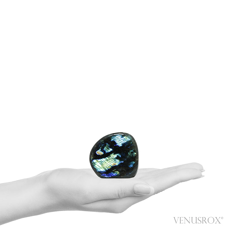 Labradorite Polished Freeform from Madagascar | Venusrox