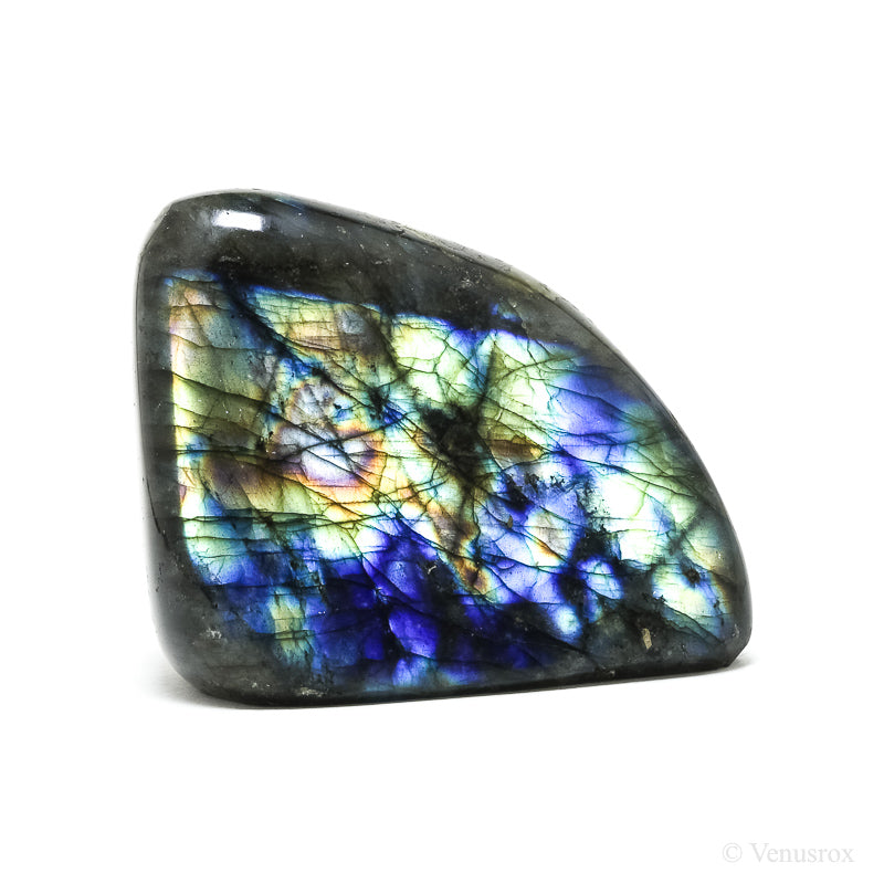 Labradorite Polished Freeform from Madagascar | Venusrox