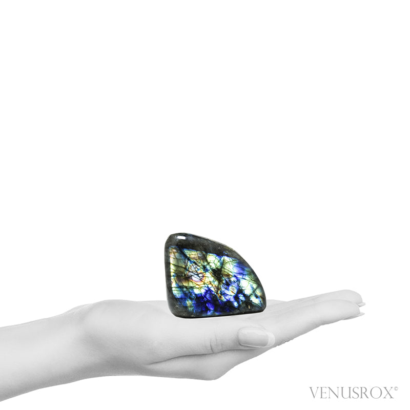 Labradorite Polished Freeform from Madagascar | Venusrox