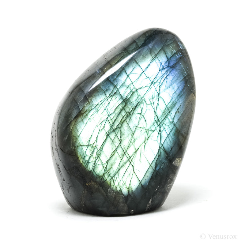 Labradorite Polished Freeform from Madagascar | Venusrox