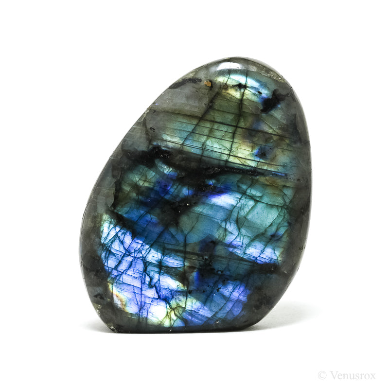 Labradorite Polished Freeform from Madagascar | Venusrox