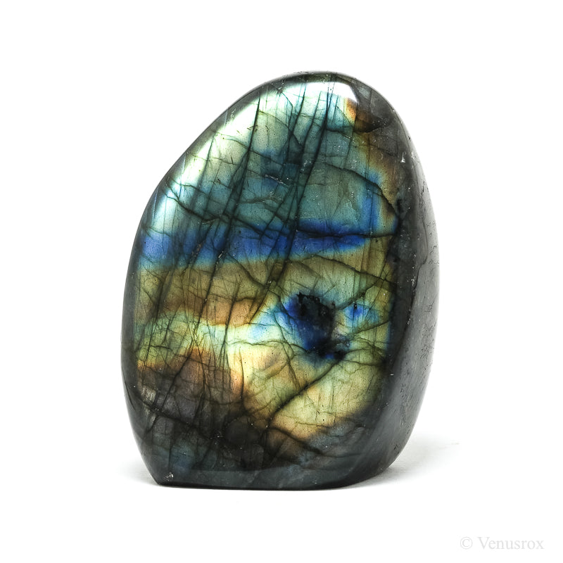 Labradorite Polished Freeform from Madagascar | Venusrox