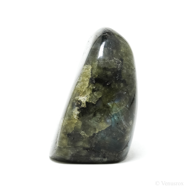 Labradorite Polished Freeform from Madagascar | Venusrox