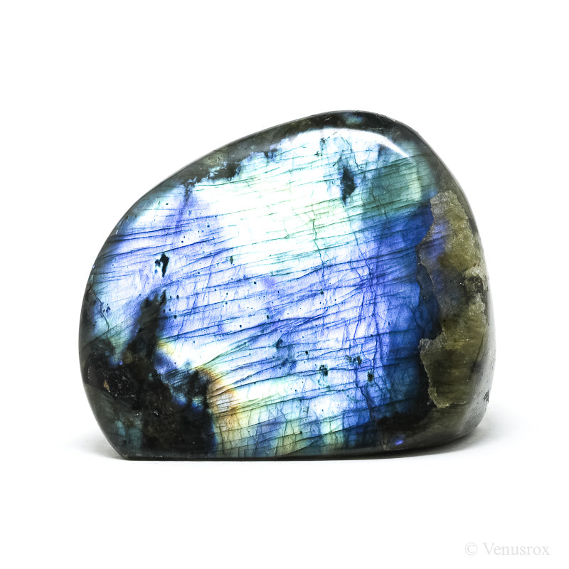 Labradorite Polished Freeform from Madagascar | Venusrox