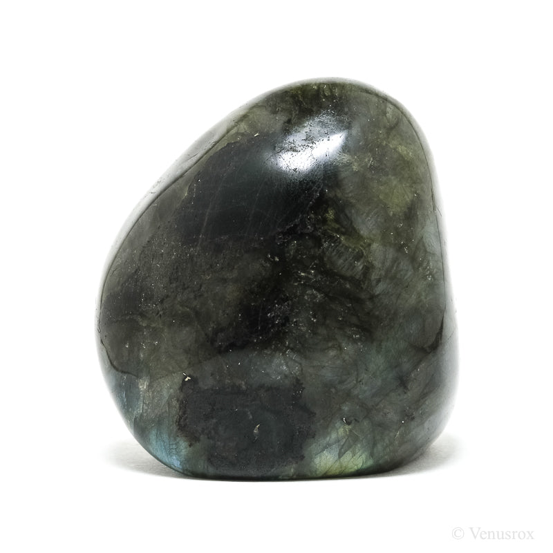 Labradorite Polished Freeform from Madagascar | Venusrox