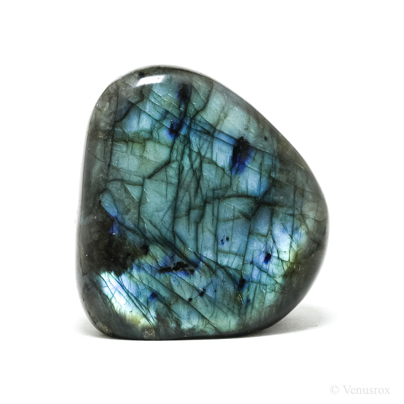 Labradorite Polished Freeform from Madagascar | Venusrox