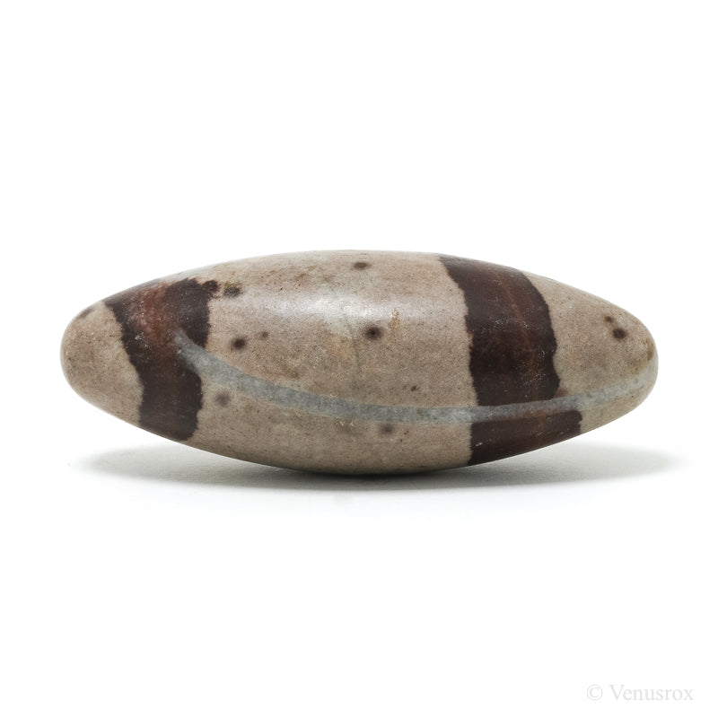 Shiva Lingam from the Narmada River, Madhya Pradesh, India | Venusrox
