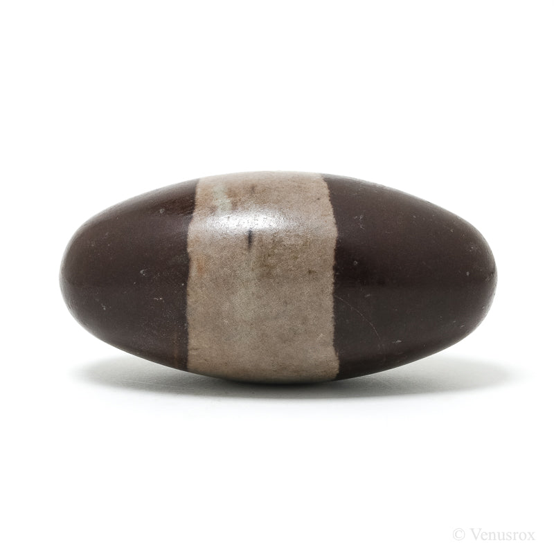 Shiva Lingam from the Narmada River, Madhya Pradesh, India | Venusrox