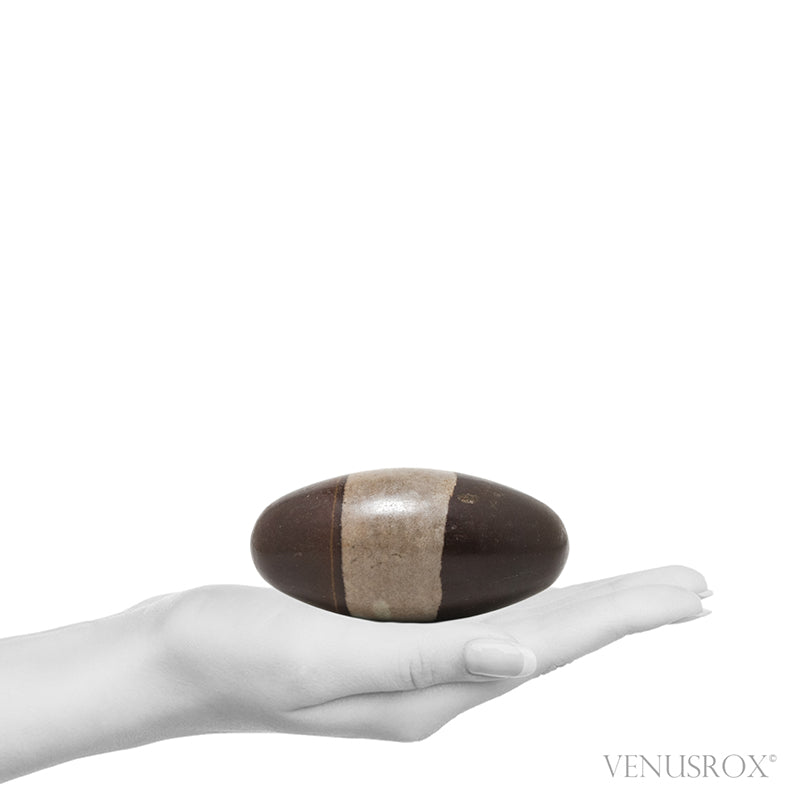 Shiva Lingam from the Narmada River, Madhya Pradesh, India | Venusrox
