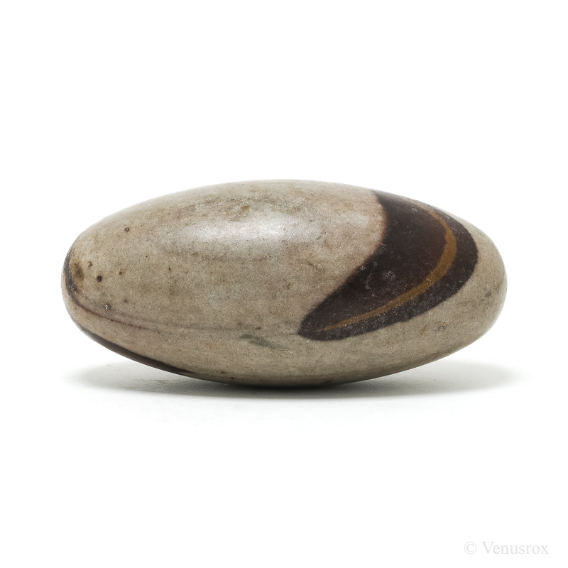 Shiva Lingam from the Narmada River, Madhya Pradesh, India | Venusrox
