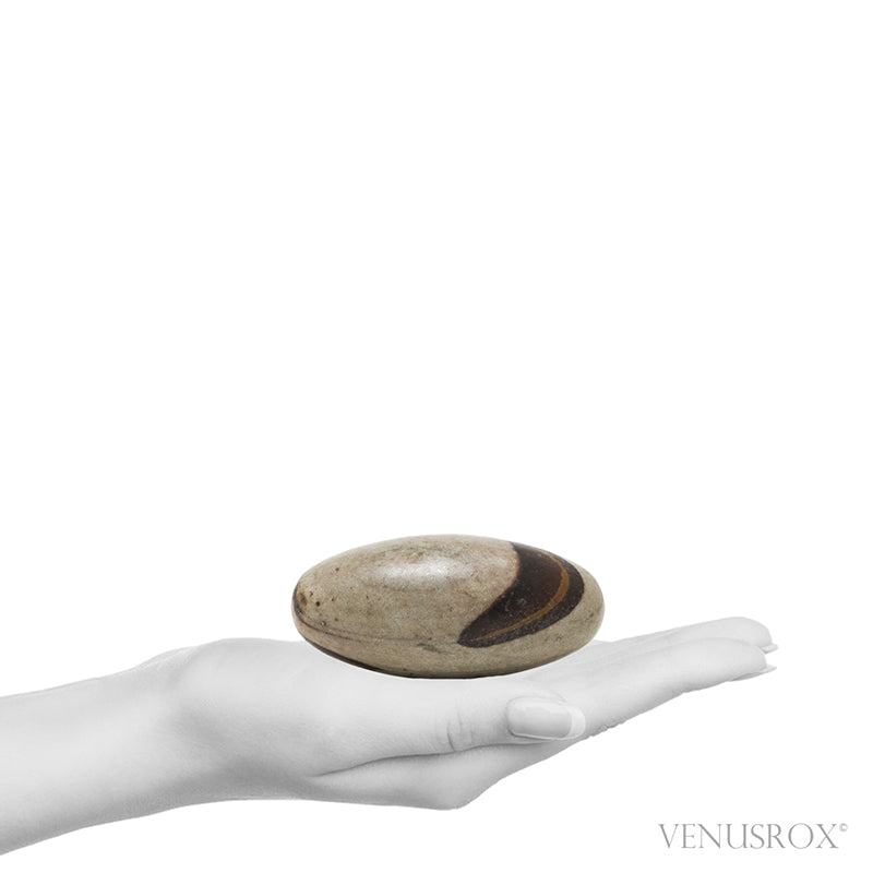 Shiva Lingam from the Narmada River, Madhya Pradesh, India | Venusrox