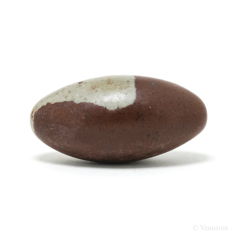Shiva Lingam from the Narmada River, Madhya Pradesh, India | Venusrox