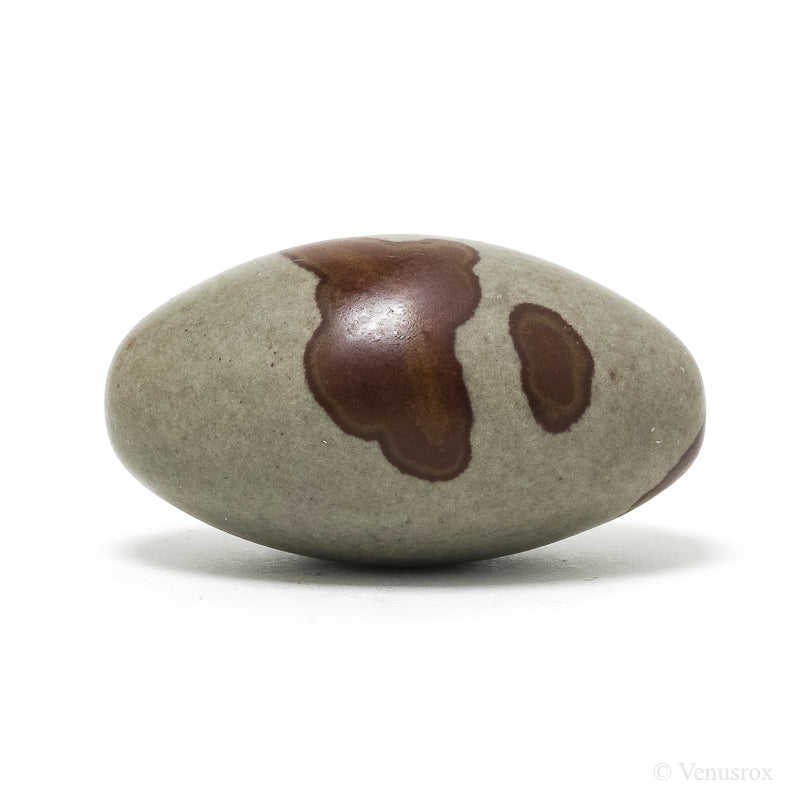 Shiva Lingam from the Narmada River, Madhya Pradesh, India | Venusrox