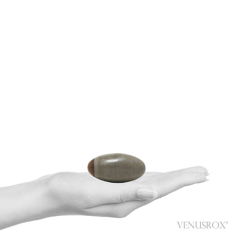 Shiva Lingam from the Narmada River, Madhya Pradesh, India | Venusrox