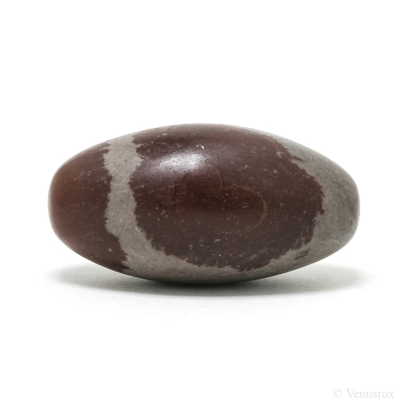 Shiva Lingam from the Narmada River, Madhya Pradesh, India | Venusrox
