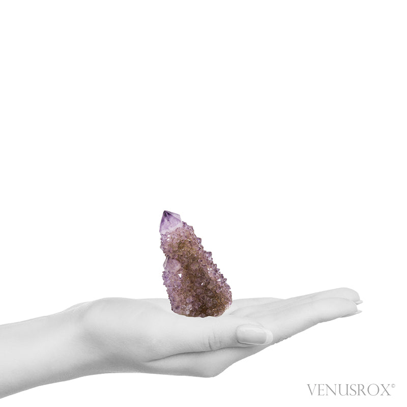 Natural Amethyst Spirit Quartz Point from Mpumalanga, South Africa | Venusrox