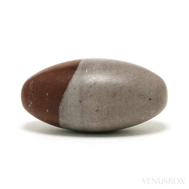 Shiva Lingam from the Narmada River, Madhya Pradesh, India | Venusrox