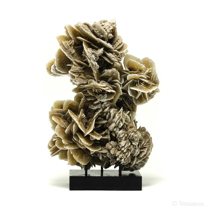 Desert Rose Natural Cluster from Mexico mounted on a stand | Venusrox