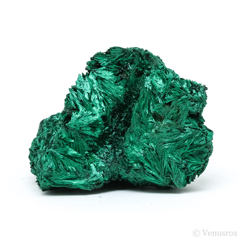Fibrous Malachite Natural Crystal from the Luishia Mine, Katanga Province, Democratic Republic of Congo | Venusrox