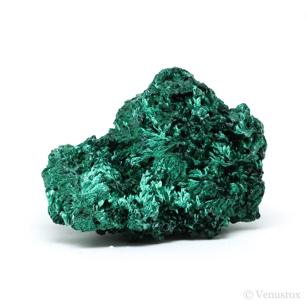 Fibrous Malachite Natural Crystal from the Luishia Mine, Katanga Province, Democratic Republic of Congo | Venusrox