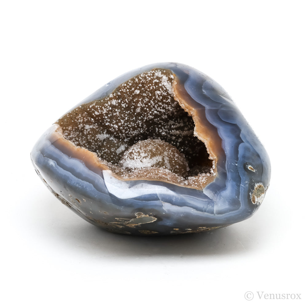 Golden Quartz Druze on Agate Part Polished/Part Natural Cluster from Uruguay | Venusrox