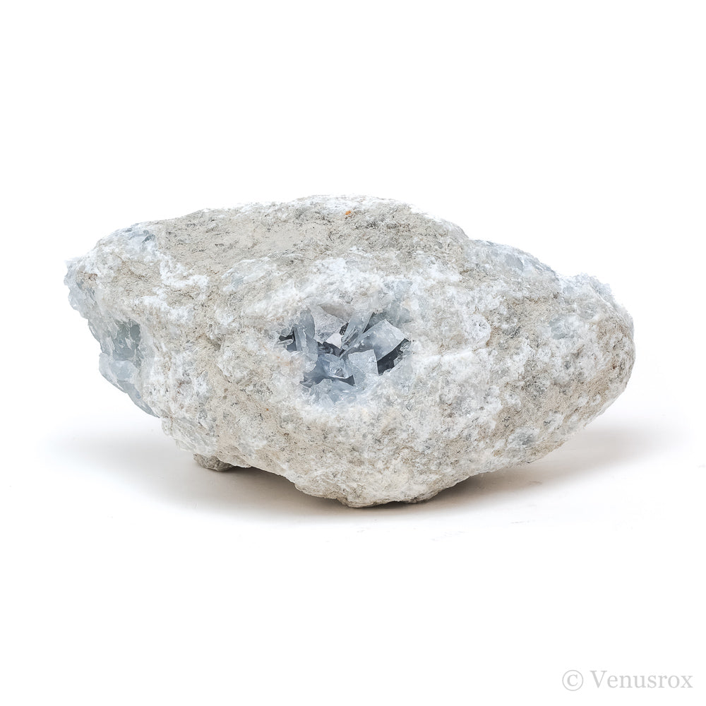 Blue Celestite on Matrix Natural Cluster from Madagascar | Venusrox