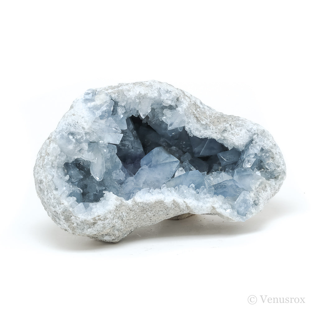 Blue Celestite on Matrix Natural Cluster from Madagascar | Venusrox