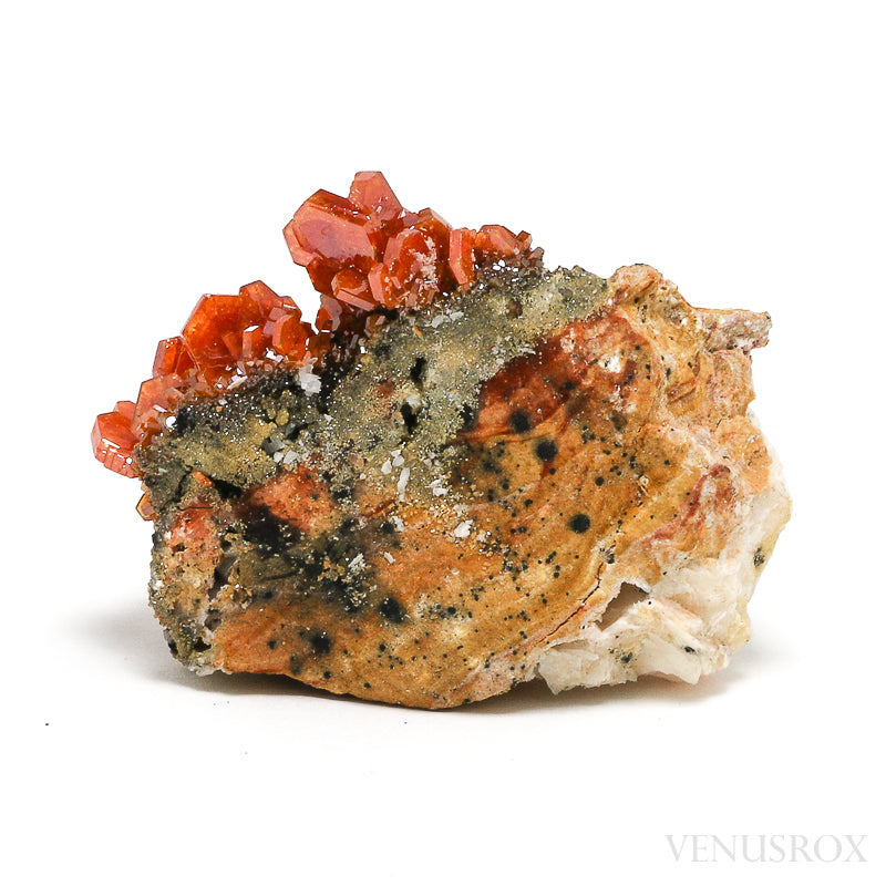 Vanadinite on Barite & Matrix Natural Specimen from Mibladen, Midelt, Meknes-Tafilalet Region, Morocco | Venusrox