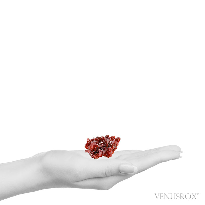 Vanadinite on Barite Natural Specimen from Mibladen, Midelt, Meknes-Tafilalet Region, Morocco | Venusrox