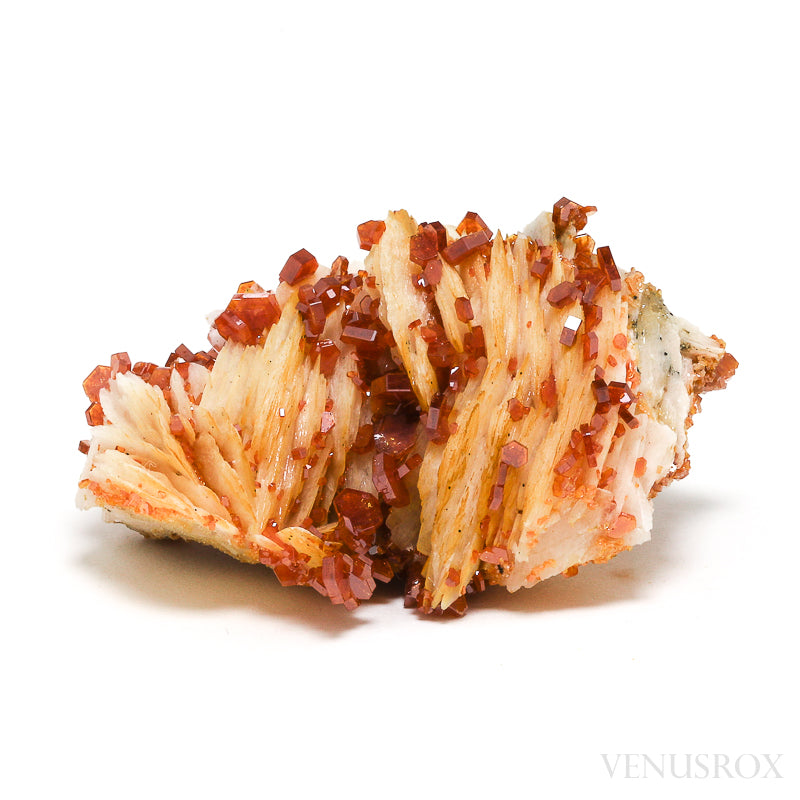 Vanadinite on Barite Natural Specimen from Mibladen, Midelt, Meknes-Tafilalet Region, Morocco | Venusrox