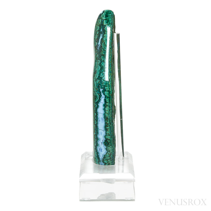 Malachite with Chrysocolla Polished Crystal from the Bagdad Mine, Arizona, USA, mounted on bespoke stand | Venusrox