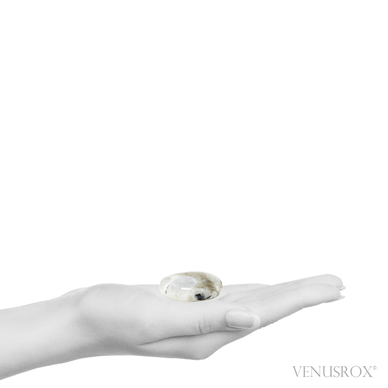 Rainbow Moonstone with Black Tourmaline Polished Crystal from India | Venusrox