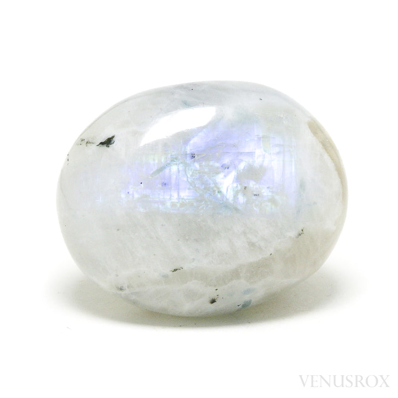 Rainbow Moonstone with Black Tourmaline Polished Crystal from India | Venusrox