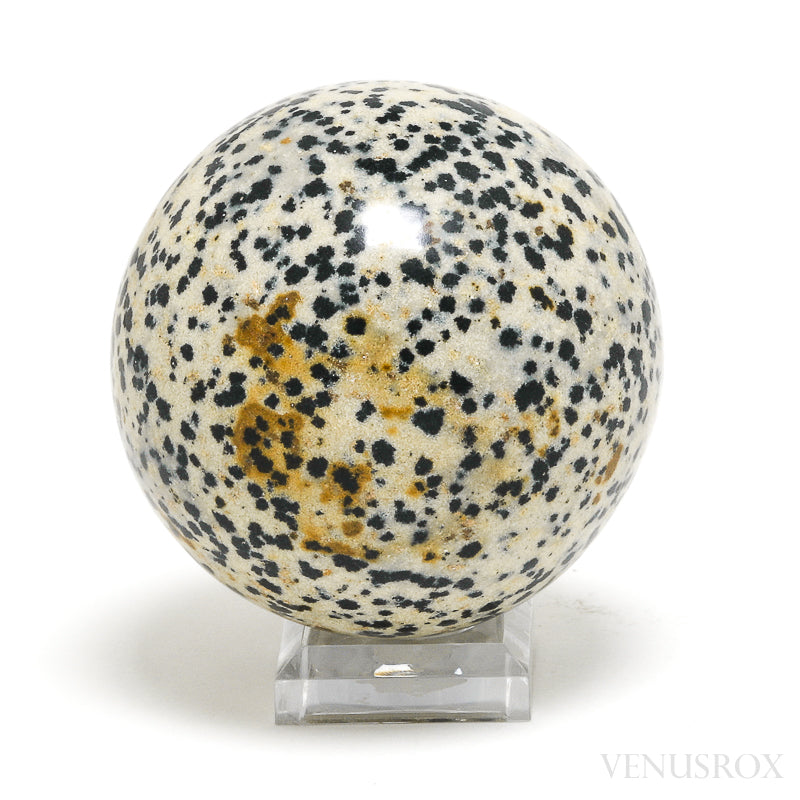 Dalmatian Jasper Polished Sphere from Mexico | Venusrox