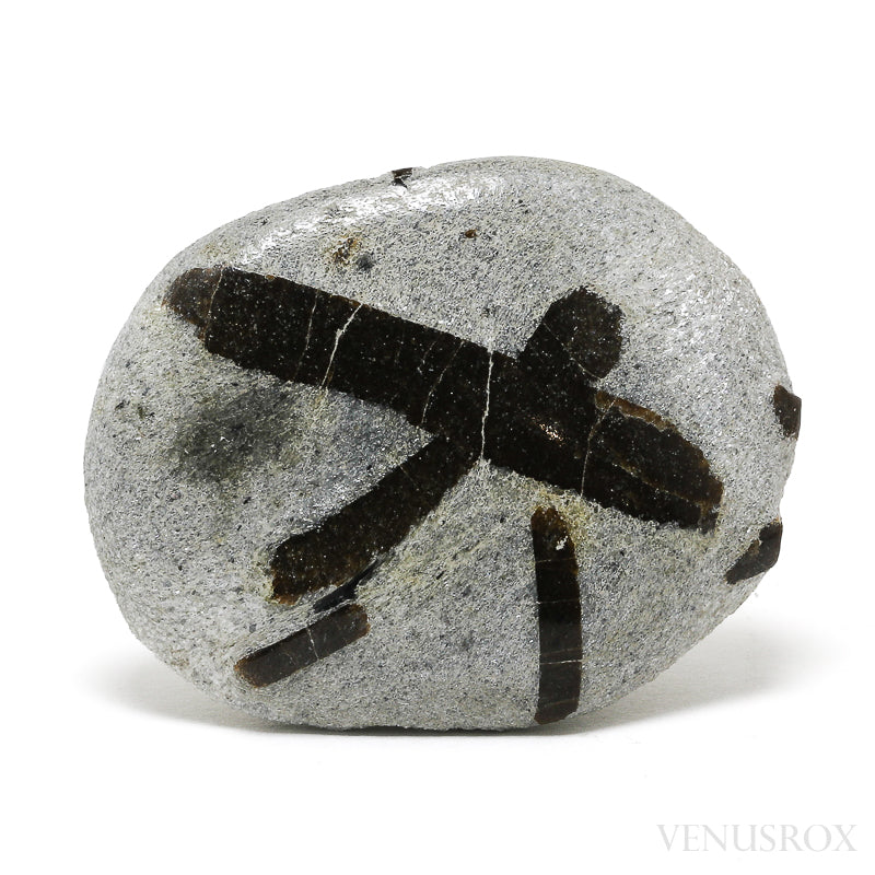 Staurolite/Fairy Cross Natural Crystal from Pestsovye Keivy, Keivy Mountains, Kola Peninsula, Northern Region, Russia | Venusrox