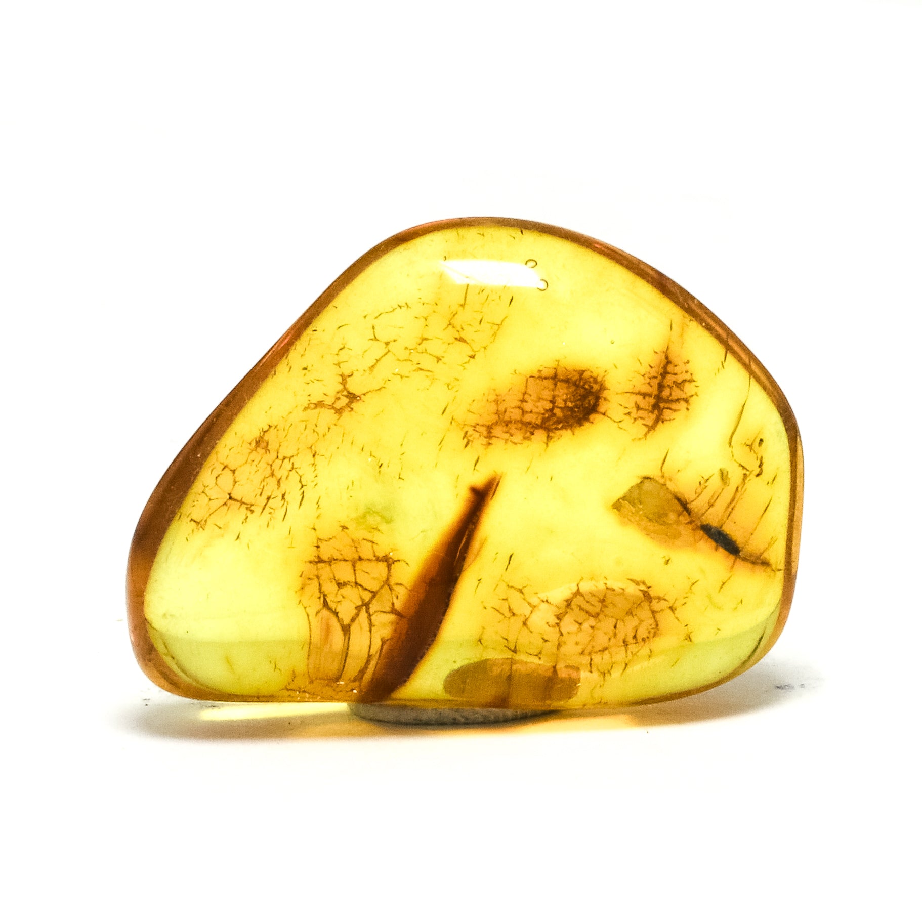 Natural Baltic Amber Polished Crystal | Venusrox