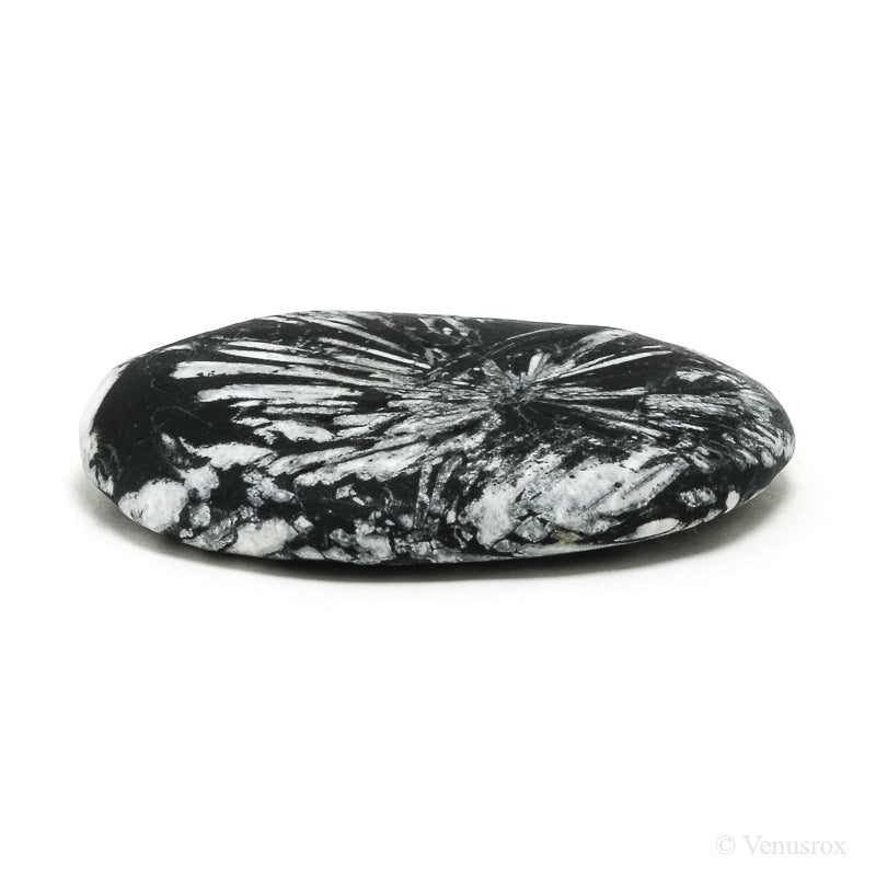 Chrysanthemum Stone from China | Venusrox