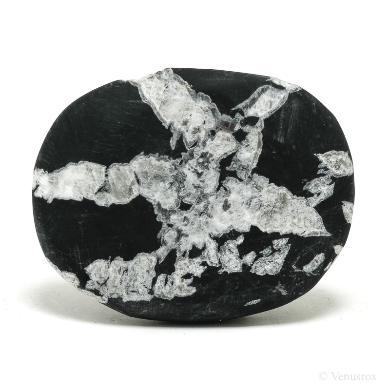 Chrysanthemum Stone from China | Venusrox