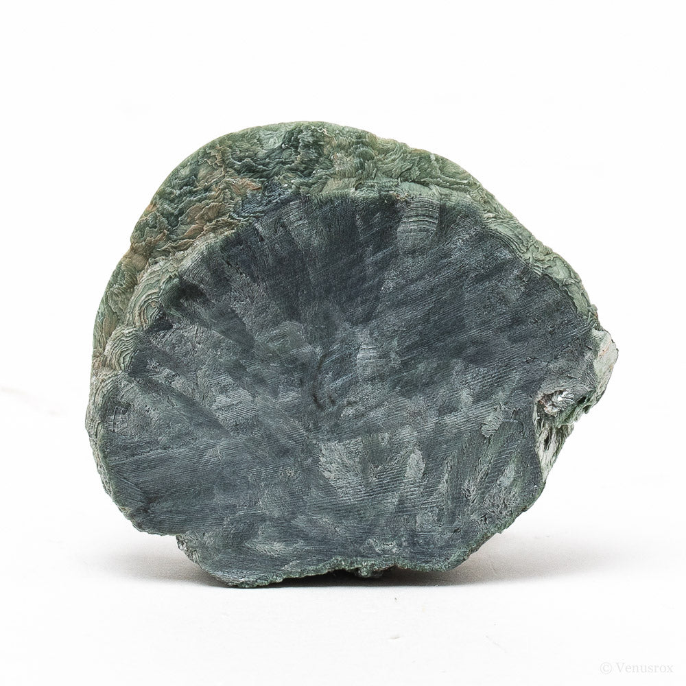 Seraphinite Polished/Natural Slice from the Korshunovskoye Iron Scary Deposit, Irkutskaya Oblast, Siberia, Russia | Venusrox