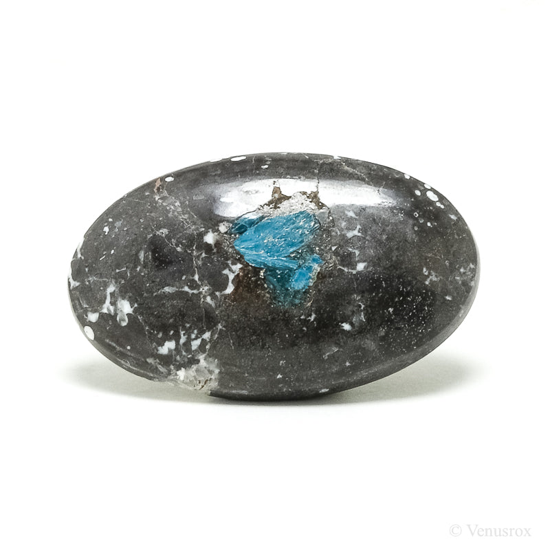 Cavansite in Matrix Polished Crystal from India | Venusrox