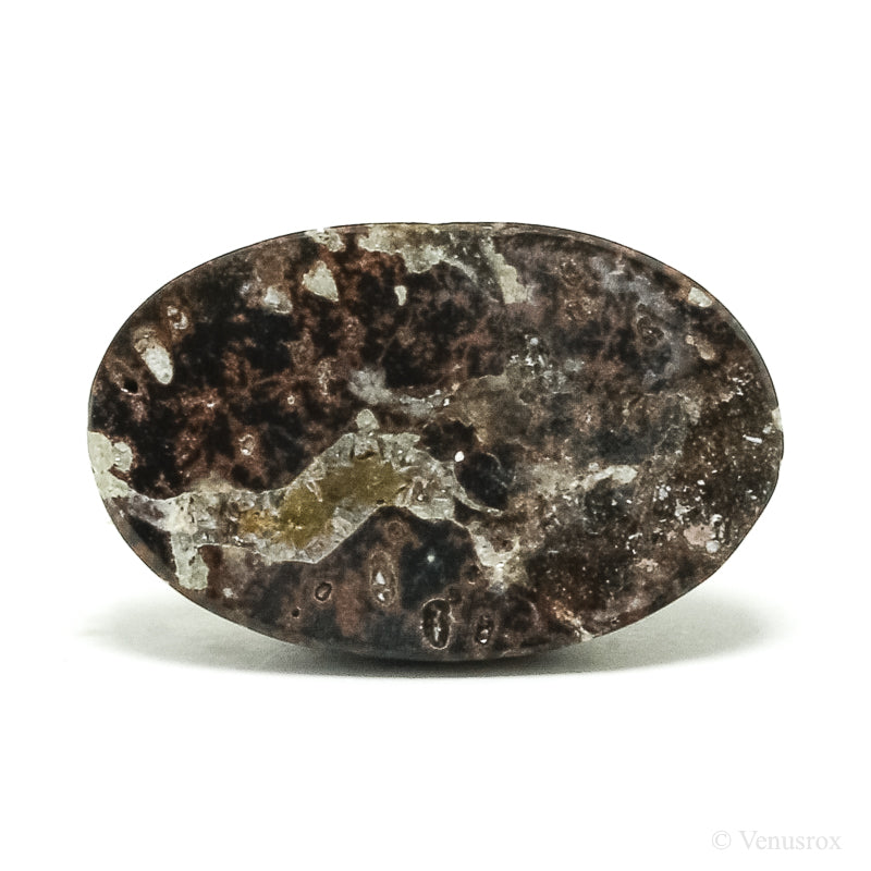 Cavansite in Matrix Polished Crystal from India | Venusrox